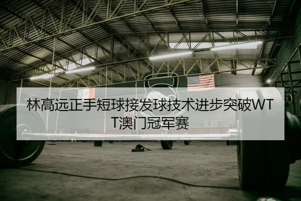林高远正手短球接发球技术进步突破WTT澳门冠军赛